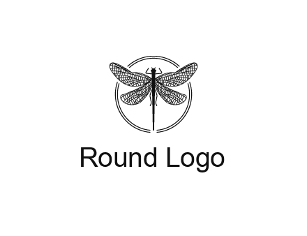 detailed dragonfly logo
