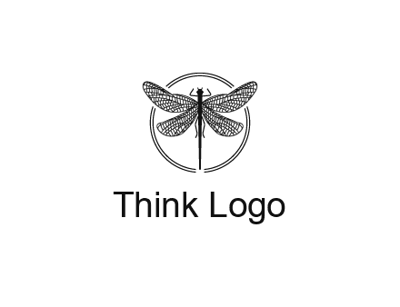 detailed dragonfly logo