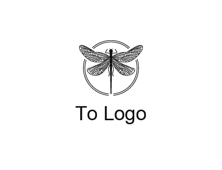 detailed dragonfly logo