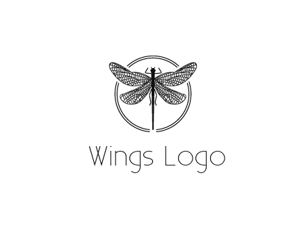 detailed dragonfly logo