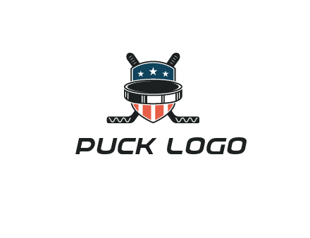 hockey stick behind shield with us flag logo