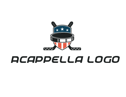 hockey stick behind shield with us flag logo