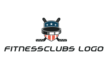 hockey stick behind shield with us flag logo