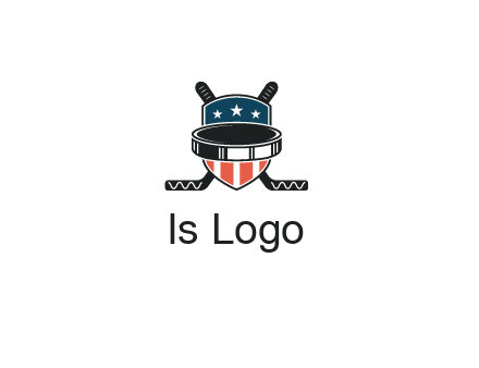hockey stick behind shield with us flag logo