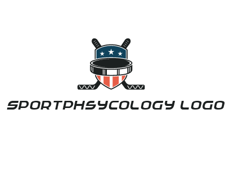 hockey stick behind shield with us flag logo