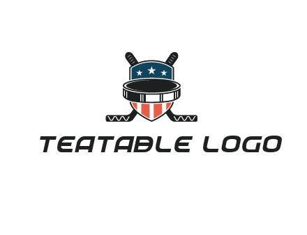 hockey stick behind shield with us flag logo