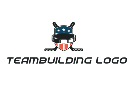hockey stick behind shield with us flag logo