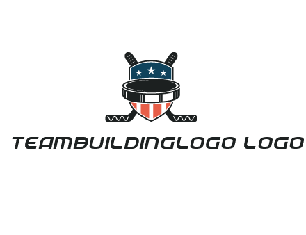 hockey stick behind shield with us flag logo