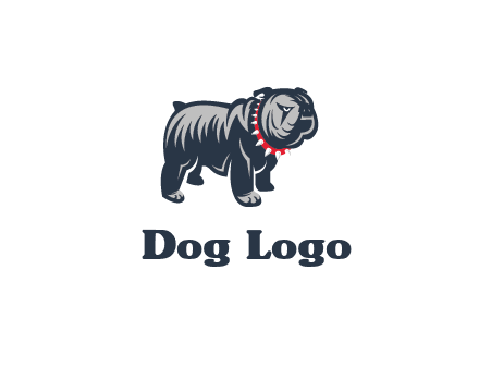bulldog with collar illustration
