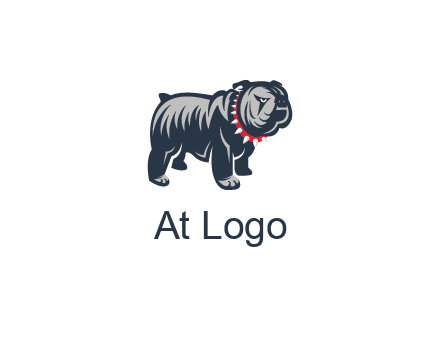 bulldog with collar illustration
