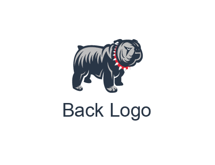 bulldog with collar illustration