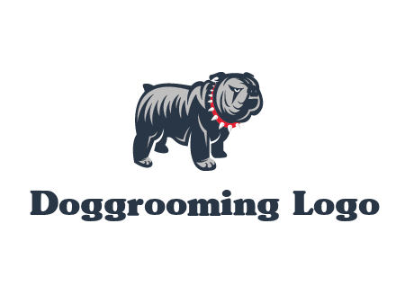 bulldog with collar illustration