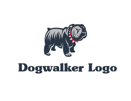 bulldog with collar illustration