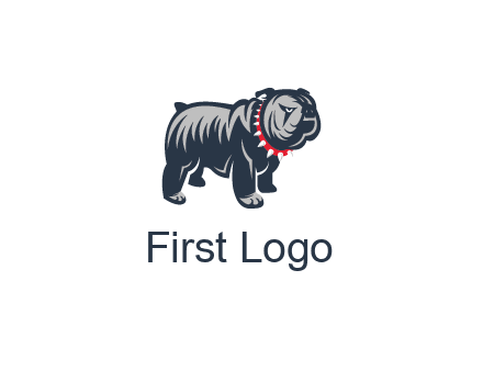 bulldog with collar illustration
