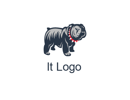 bulldog with collar illustration