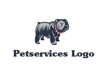 bulldog with collar illustration