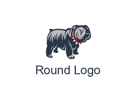 bulldog with collar illustration