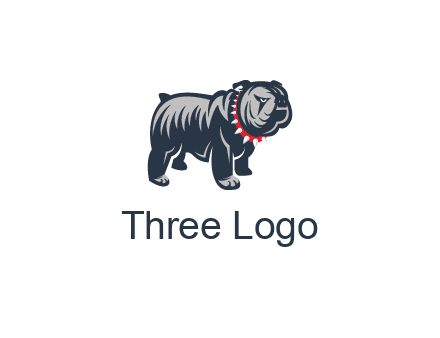 bulldog with collar illustration