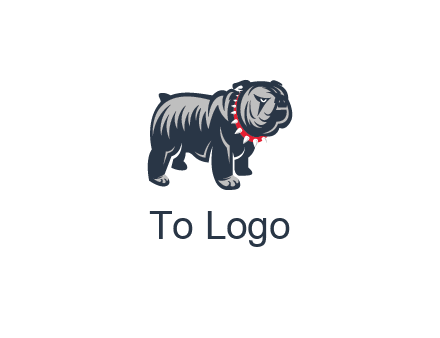 bulldog with collar illustration