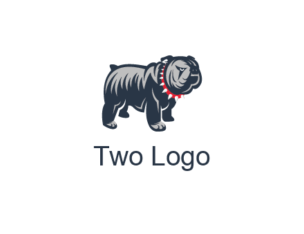 bulldog with collar illustration