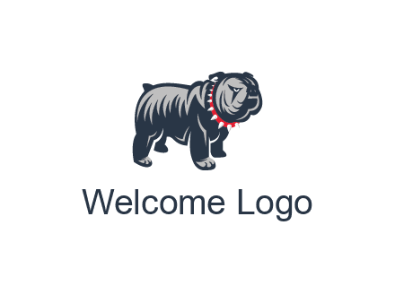 bulldog with collar illustration
