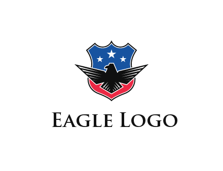 eagle over a badge with the American flag pattern