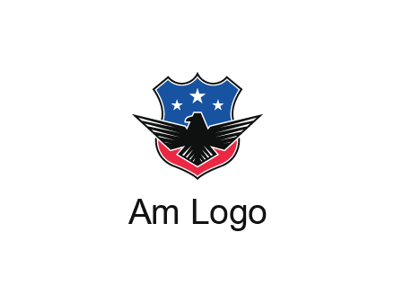 eagle over a badge with the American flag pattern