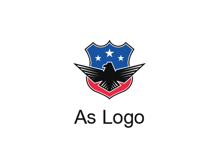 eagle over a badge with the American flag pattern