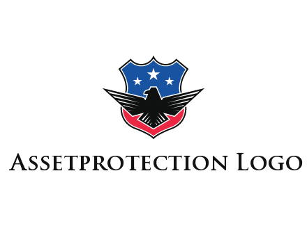 eagle over a badge with the American flag pattern
