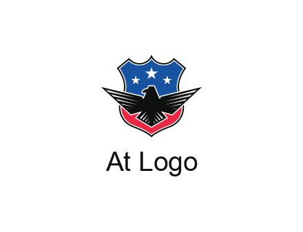 eagle over a badge with the American flag pattern
