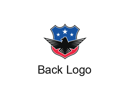 eagle over a badge with the American flag pattern