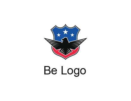eagle over a badge with the American flag pattern