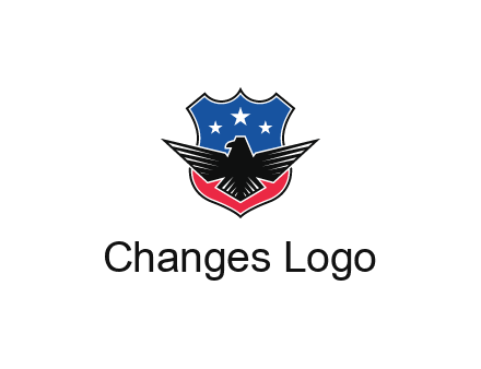 eagle over a badge with the American flag pattern