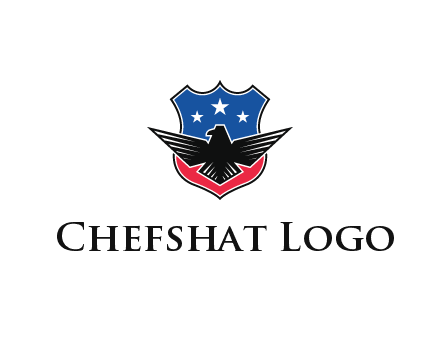 eagle over a badge with the American flag pattern