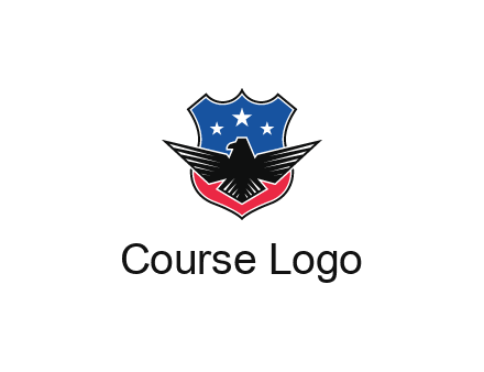 eagle over a badge with the American flag pattern