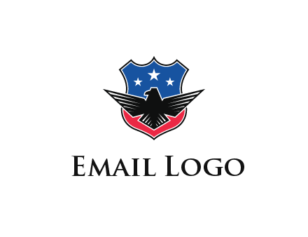eagle over a badge with the American flag pattern