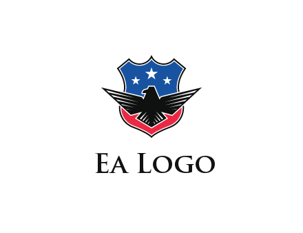 eagle over a badge with the American flag pattern