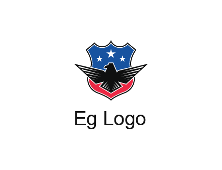 eagle over a badge with the American flag pattern