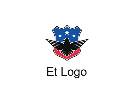 eagle over a badge with the American flag pattern