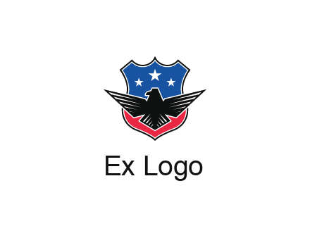 eagle over a badge with the American flag pattern