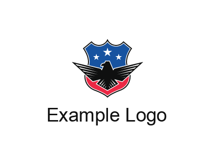 eagle over a badge with the American flag pattern