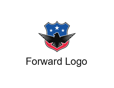 eagle over a badge with the American flag pattern