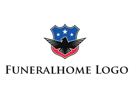 eagle over a badge with the American flag pattern