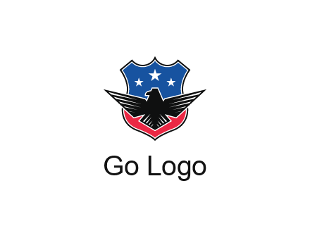 eagle over a badge with the American flag pattern