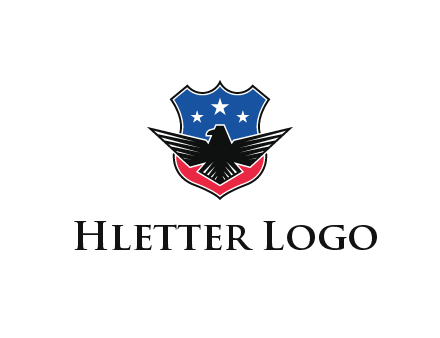 eagle over a badge with the American flag pattern