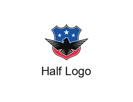 eagle over a badge with the American flag pattern