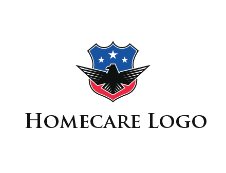 eagle over a badge with the American flag pattern