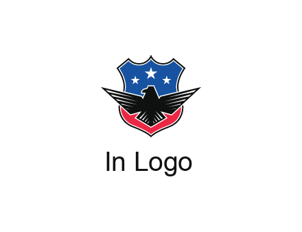 eagle over a badge with the American flag pattern