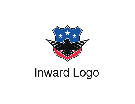 eagle over a badge with the American flag pattern