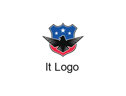 eagle over a badge with the American flag pattern